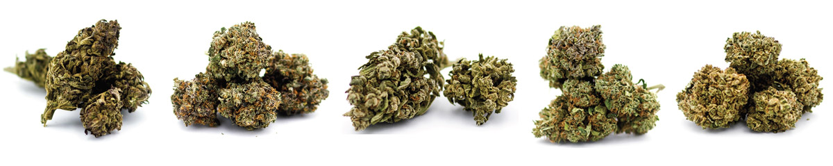 CBD ou cannabis légal - le meilleur